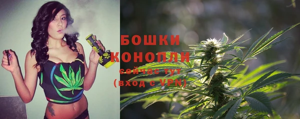 трава Семилуки