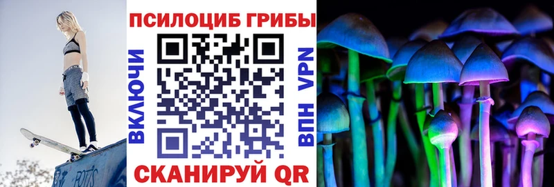 Галлюциногенные грибы мицелий  Находка 